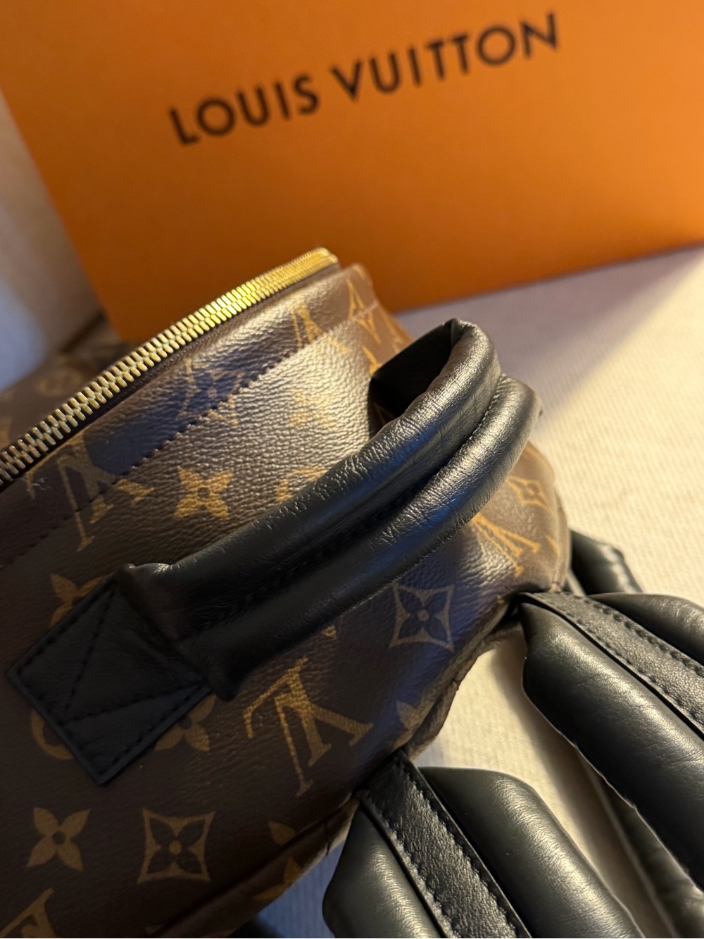 LOUIS VUITTON Monogram Canvas Palm Springs MM Backpack Bag - Picture 10 of 14